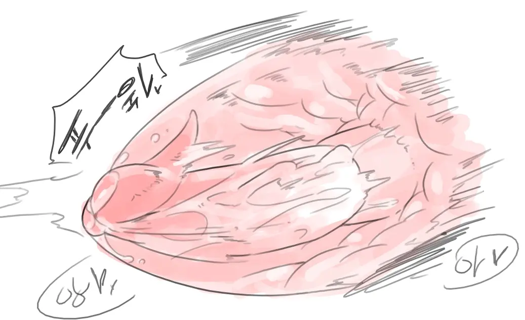넷캔